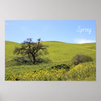 Wildflowers Hillside Photo Oak Nature Scenic Photo Poster