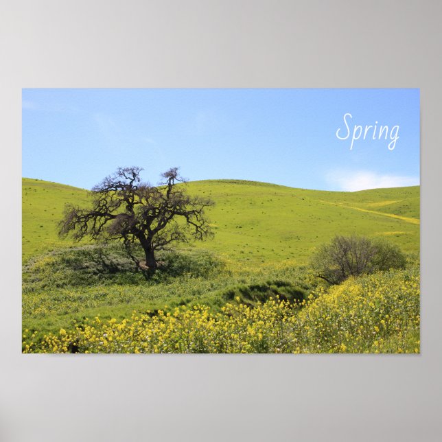 Wildflowers Hillside Photo Oak Nature Scenic Photo Poster (Front)