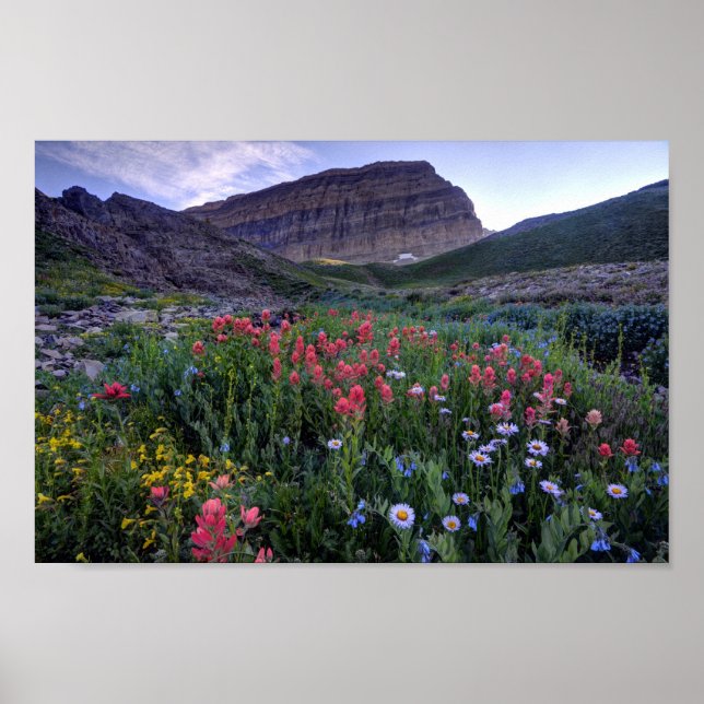 Wildflowers in High Mountain Meadow - Utah Poster (Front)