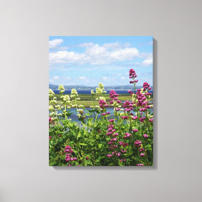 Wildflowers in Ireland Canvas Print (Front)