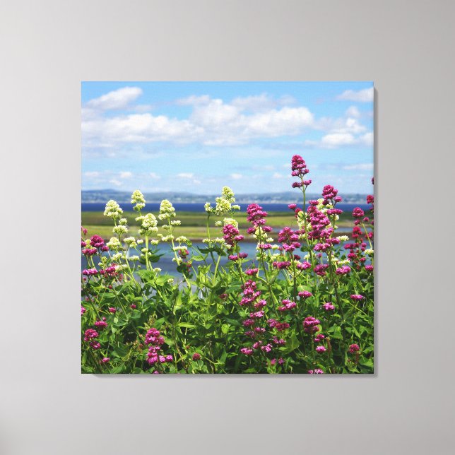 Wildflowers in Ireland Canvas Print (Front)