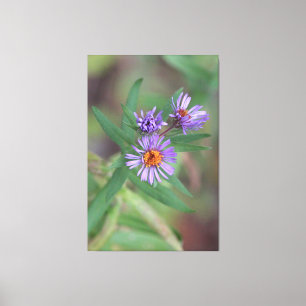 Wildflowers In Purple Canvas Print