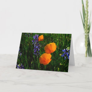 Wildflowers in Sonoma County Card