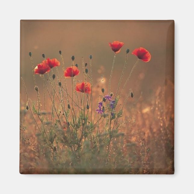 wildflowers magnet (Front)