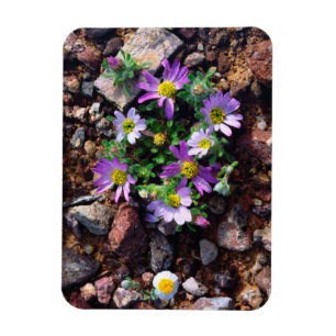 Wildflowers Magnet