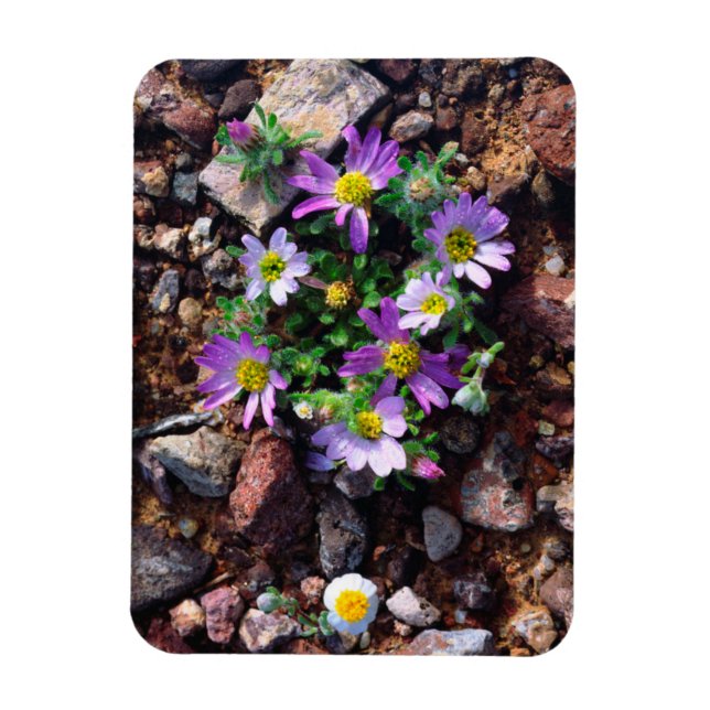 Wildflowers Magnet (Vertical)