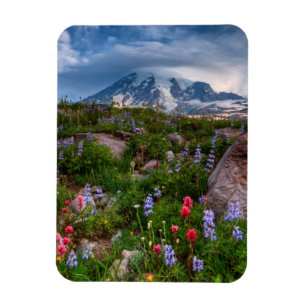 Wildflowers Magnet