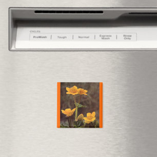 Wildflowers: Marsh Marigold Magnet