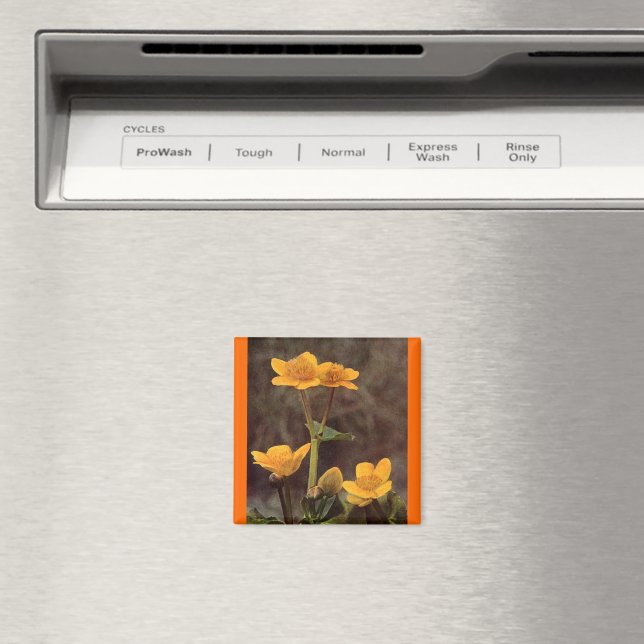 Wildflowers: Marsh Marigold Magnet (In Situ (Dishwasher))