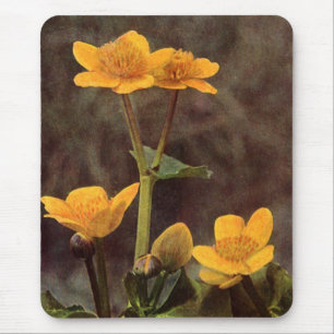 Wildflowers: Marsh Marigold Mouse Mat