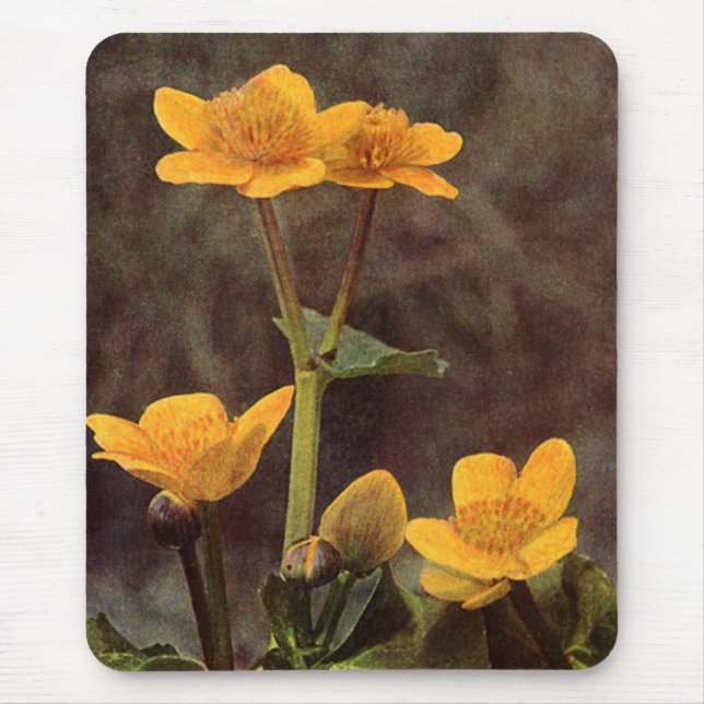 Wildflowers: Marsh Marigold Mouse Mat (Front)