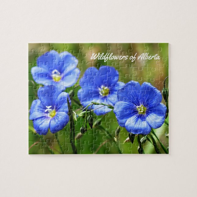 Wildflowers of Alberta, Canada - Nature Puzzle (Horizontal)