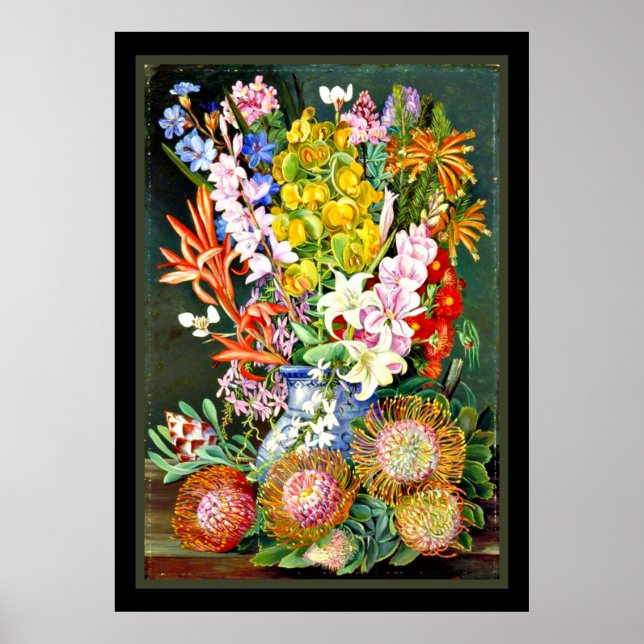 Wildflowers of Ceres, South Africa Poster (Front)