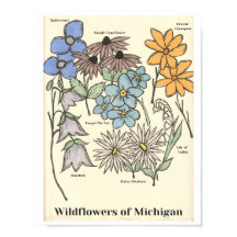 Wildflowers of Michigan Hand Drawn Art Print