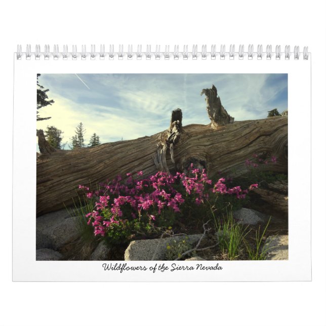 Wildflowers of the Sierra Nevada Calendar (Cover)