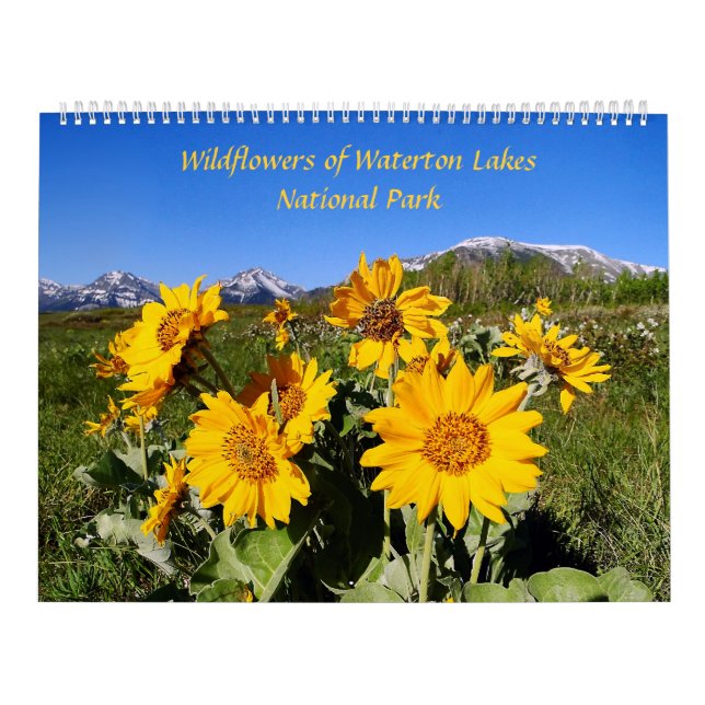 Wildflowers of Waterton Lakes National Park Calendar (Cover)