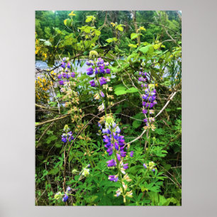 Wildflowers on the Trail, Oregon Poster