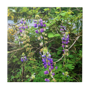 Wildflowers on the Trail, Oregon Tile