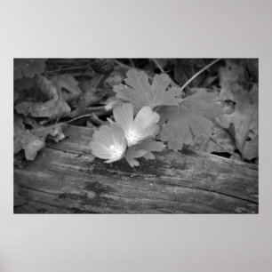 Wildflowers On Wood Print