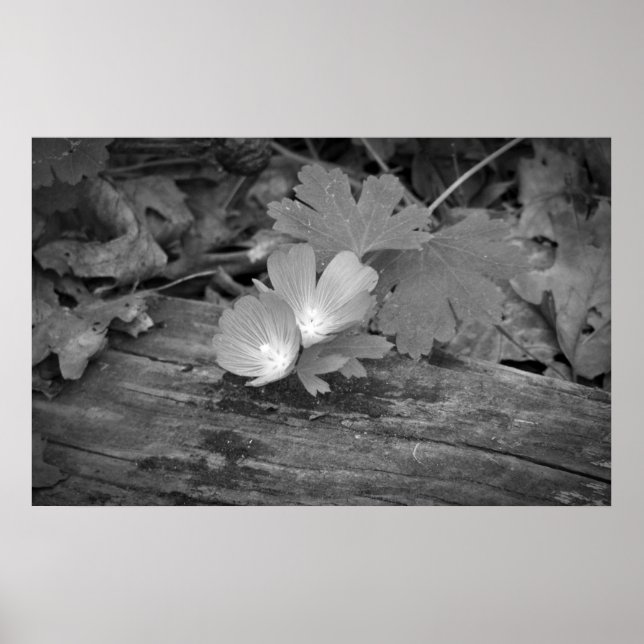 Wildflowers On Wood Print (Front)