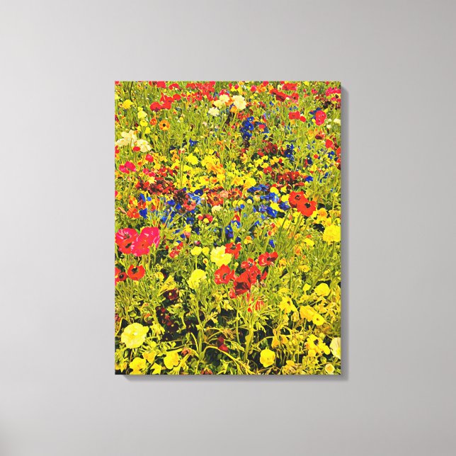 Wildflowers poppies colourful flower festival canvas print (Front)