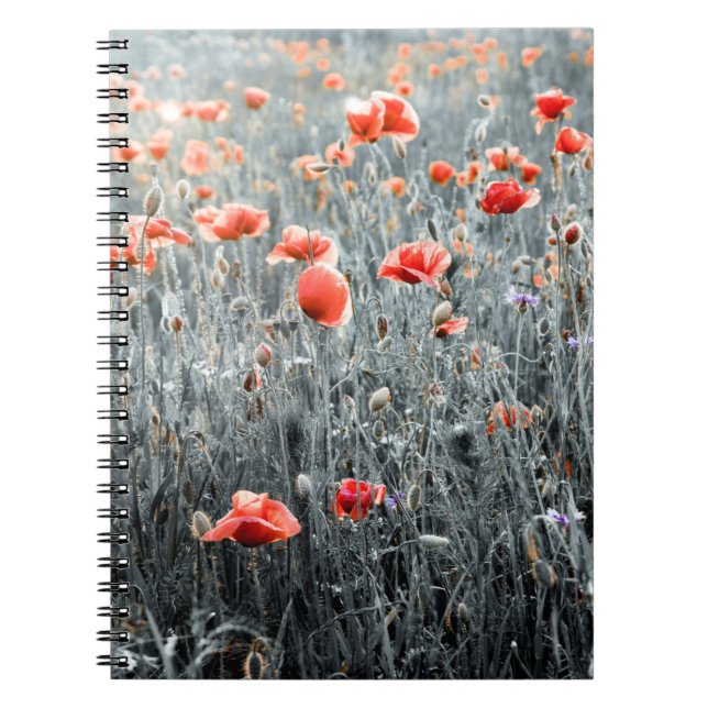Wildflowers poppies notebook (Front)