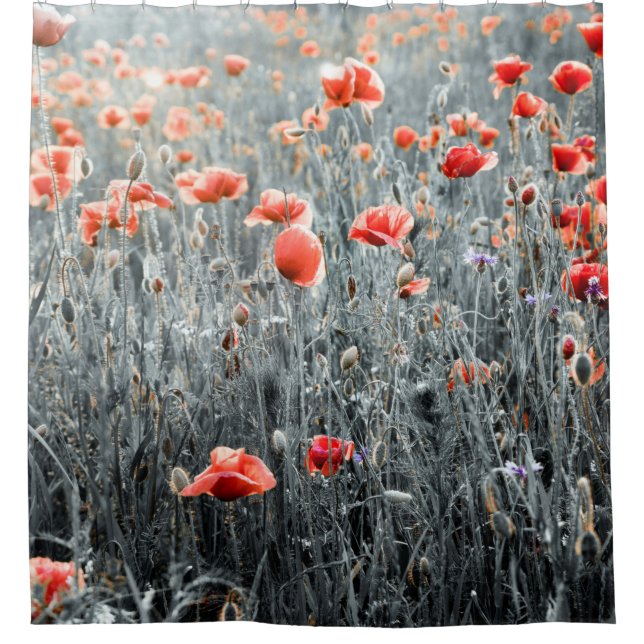 Wildflowers poppies shower curtain (Front)