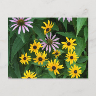 Wildflowers Postcard