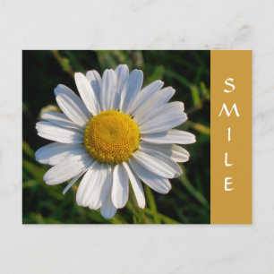 WILDFLOWERS POSTCARD