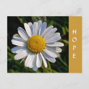 WILDFLOWERS POSTCARD