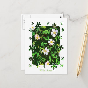 WILDFLOWERS POSTCARD