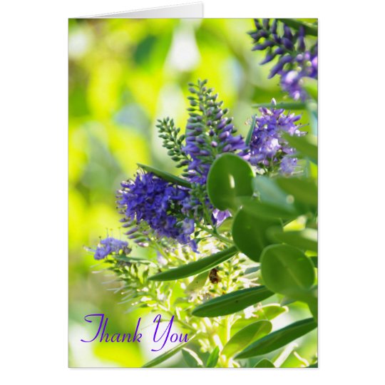 Wildflowers Purple, Thank You Card