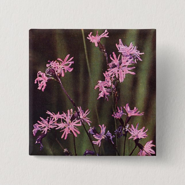 Wildflowers: Ragged Robin 15 Cm Square Badge (Front)