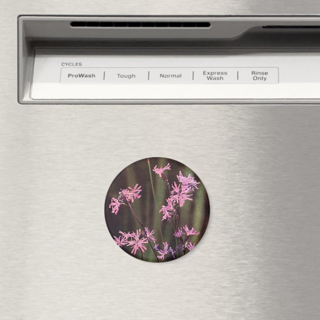Wildflowers: Ragged Robin Magnet (In Situ (Dishwasher))