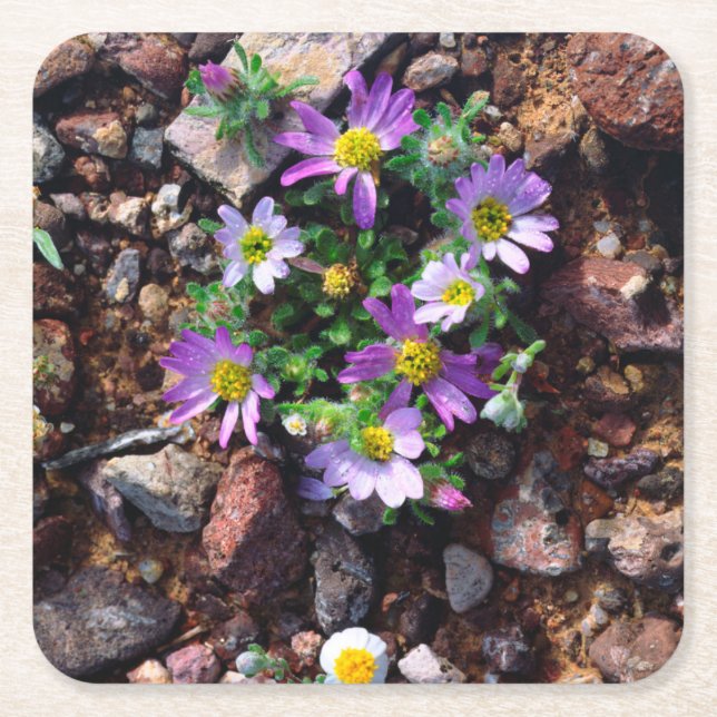 Wildflowers Square Paper Coaster (Front)