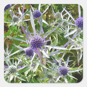WILDFLOWERS SQUARE STICKER
