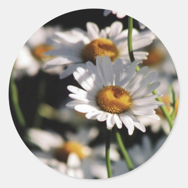 Wildflowers Sticker (Front)