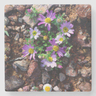 Wildflowers Stone Coaster