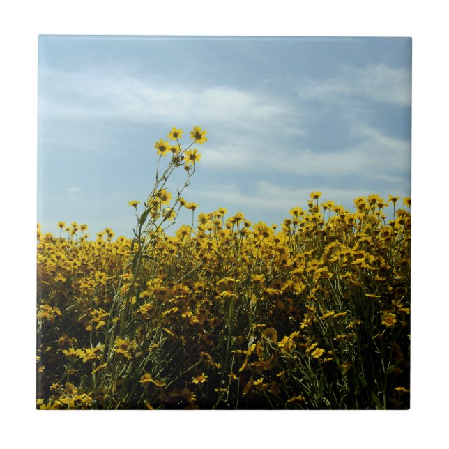 Wildflowers Sunflowers Tile (Front)