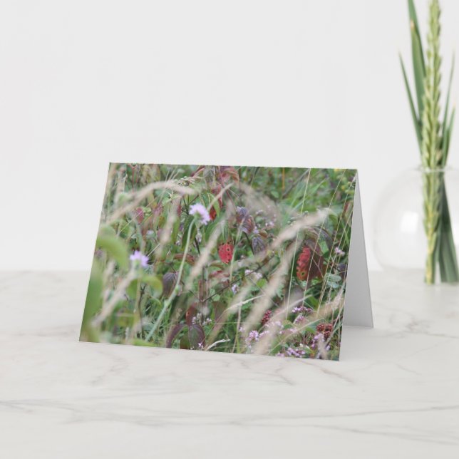 Wildflowers, Surrey Hills Greeting Card (Front)