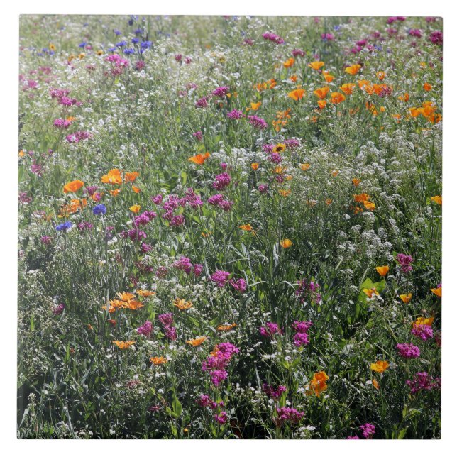Wildflowers Tile Large 6" x 6" (Front)