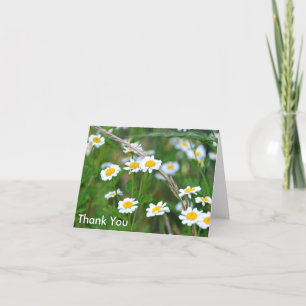Wildflowers with Daisies, Thank You Card