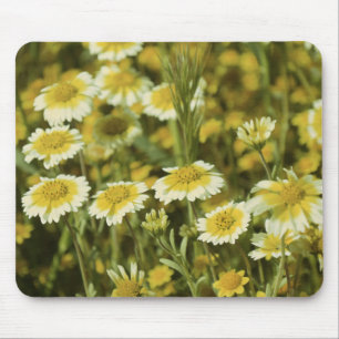 Wildflowers Yellow and White Sunflowers Mouse Mat