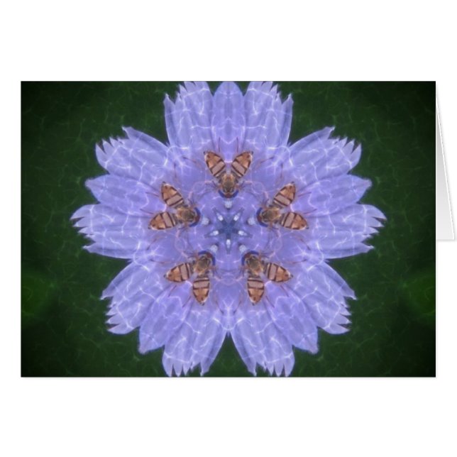 Wildfowers With Bees (Front Horizontal)