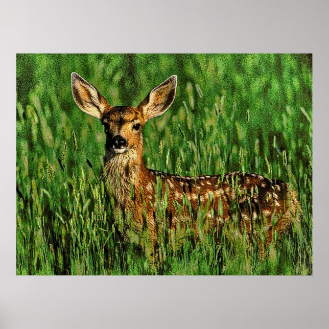 Wildlife 11 bumped poster (Front)