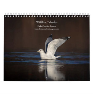 Wildlife 2024 calendar