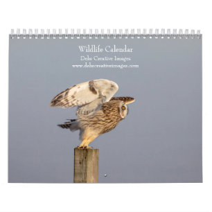 Wildlife 2025 calendar