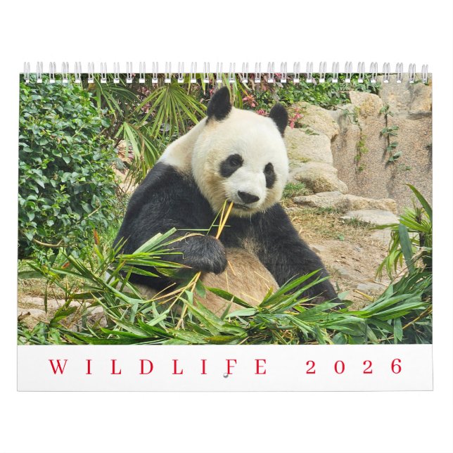 Wildlife 2026 calendar (Cover)