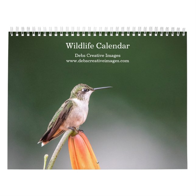 Wildlife 2026 calendar (Cover)