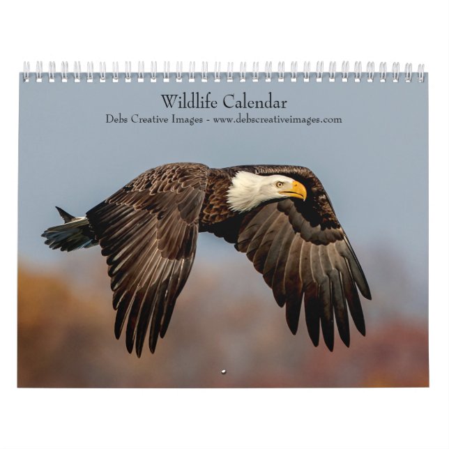 Wildlife 2026 calendar (Cover)